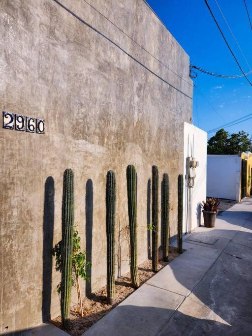 Ferienwohnung Departamento Con Terraza La Paz Exterior foto